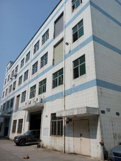 廣州市廠房結構安全檢測公司哪家正規？工程設計需重視專業檢測