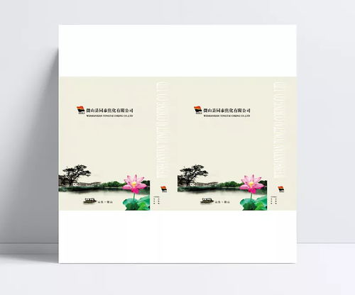 中國(guó)傳統(tǒng)水墨風(fēng)格手提袋包裝設(shè)計(jì)